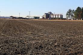 Willow Creek Farm